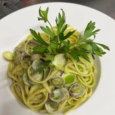 酒店 Ristorante Plaza Tornolo